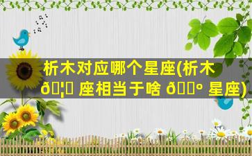 析木对应哪个星座(析木 🦍 座相当于啥 🌺 星座)